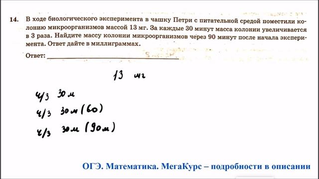 ОГЭ 2025. Математика. Задание 14. В ходе биологического эк смотреть онлайн