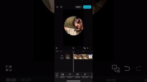 Как сделать видео как в телеграм в сторис? Кружочек на