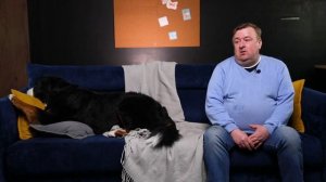 Бернский зенненхунд - все о породе, плюсы и минусы — шо