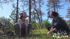 « коты воители от териантропов » 1 сезон ,  1 серия ,  « гр