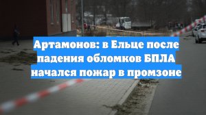 Артамонов: в Ельце после падения обломков БПЛА начался пожар в промзоне