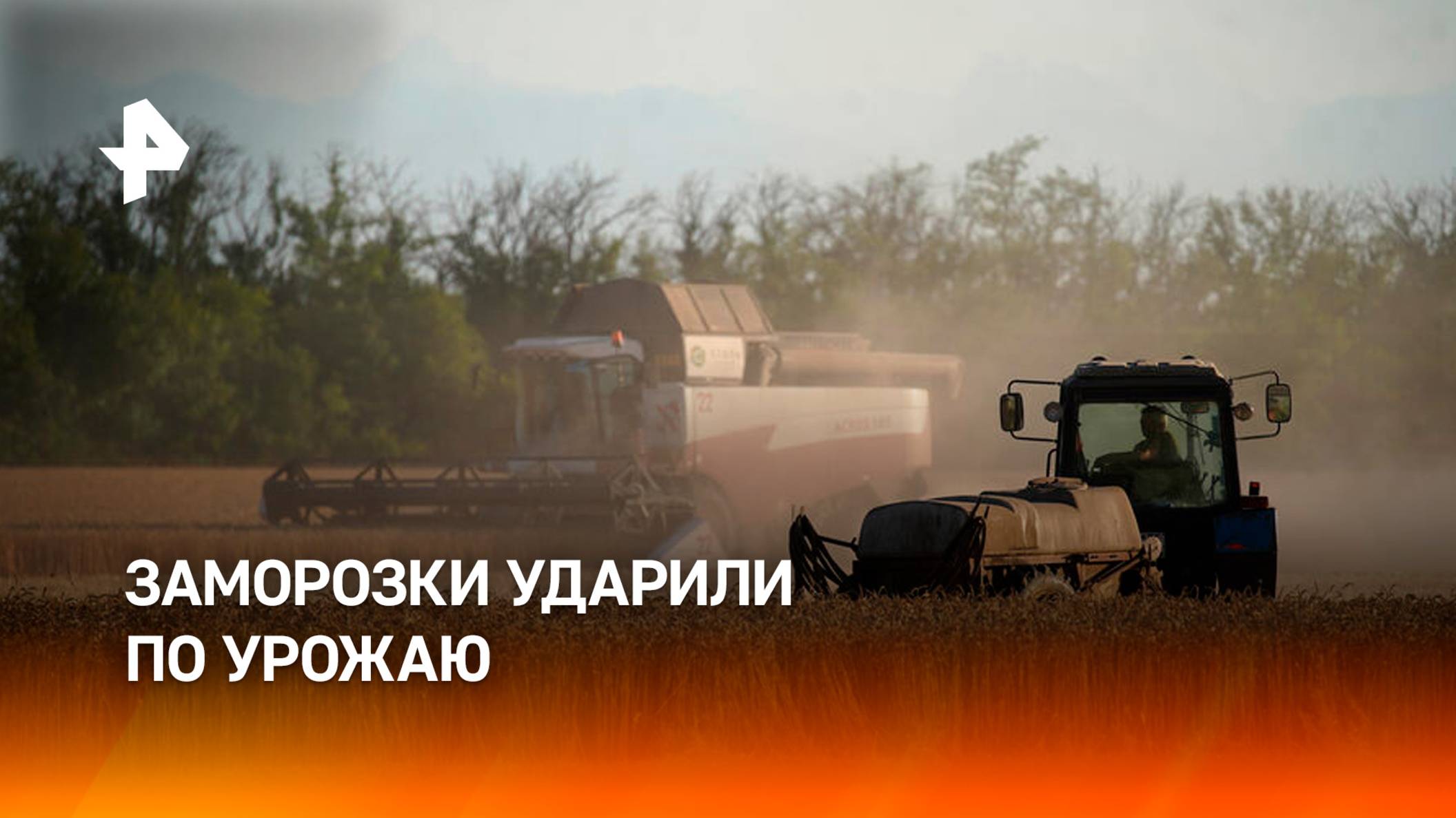 Весенние заморозки сократят урожай черешни и пшеницы