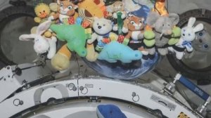 Космонавты в скунс-камере