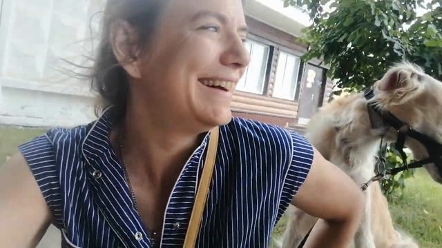 Бронирование права выбора щенков русской псовой борз?