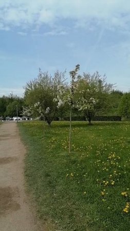 Погода на первую часть 23 мая пятницу