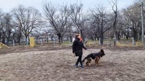 Команда ЧУЖОЙ. Немецкая овчарка. СТРАЖ.