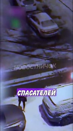 Новостничок (513)