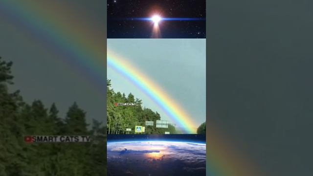 Могучий Друг маленького Чепусика Кришан взял smart cats tv ? смотреть онлайн