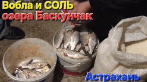 🔥ВОБЛА и соль из озера БАСКУНЧАК🔥солим рыбу СПЕЦ-СОЛЬЮ на Волге!! Астрахань-2025 !!!