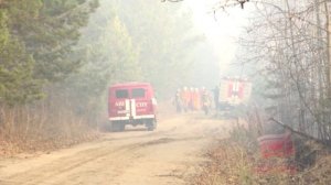 Весь город окутал дым. Несколько лесных пожаров потушили в Братске за последние сутки