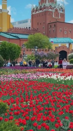 Красавица Москва, Россия.