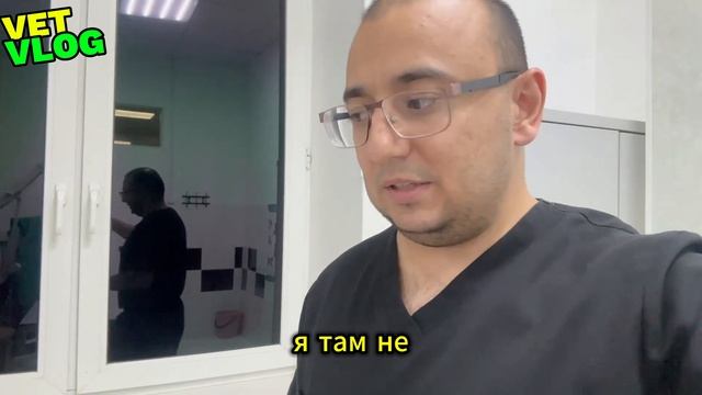 День работы ветеринарного врача хирурга за 6 минут