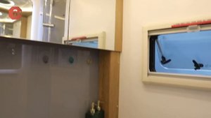 Роскошный автодом ИЗ КИТАЯ на 6 человек! Подробный обзор Китайского автодома Deddle RV Iveco Daily