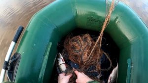 Осенняя ловля рыбы сетью в заводи.