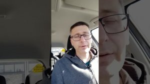 Что лучше мясо или корм? Чем кормить кошку?