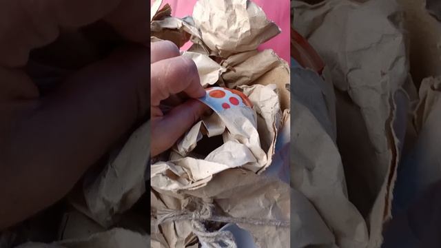 СЕРВІЗ В УПАКОВЦІ. БОРИСЛАВ. ГОРОХ смотреть онлайн