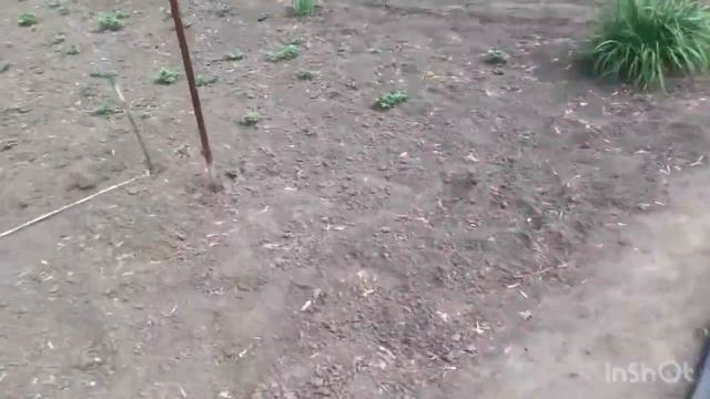 Возьму в ТЕСКИ🤣 ПРОПАЛА ЖЕНЩИНА🤣Весит на Доме🙏СПЛ? смотреть онлайн