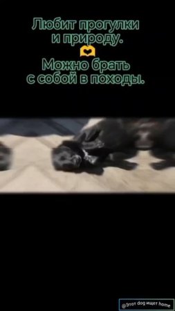 Привет, я здесь.
