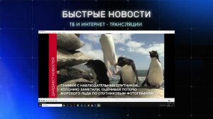 Создание дайджеста новостей на базе сервиса iactive.pro