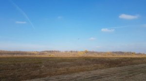 Ил 14 комплекс 2