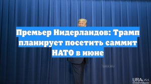 Премьер Нидерландов: Трамп планирует посетить саммит НАТО в июне