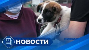 Новости 19.00 от 23.05.25