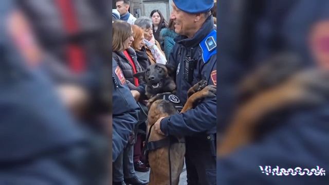 Приколы и смешные истории