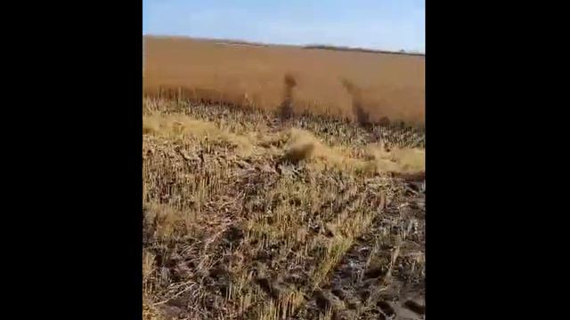 Втулки и пальцы для ремонта стрелы Manitou смотреть онлайн