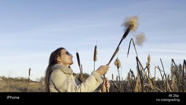 Сравнение iPhone VS Sony ZV-E1 | Телефон или камера | Зачем сним? смотреть онлайн