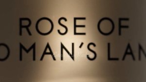 Rose Of No Man's Land