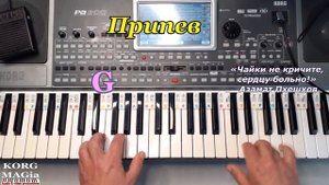 «Чайки не кричите, сердцу больно!» Азамат Пхешхов-Разб