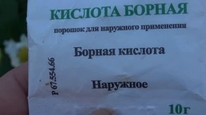 БОРНАЯ КИСЛОТА-ГЛАВНЫЙ СЕКРЕТ СУПЕР УРОЖАЯ КЛУБНИКИ!УХОД ВО ВРЕМЯ ЦВЕТЕНИЯ!