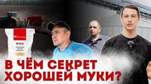 Как сеют зерновые: посевная пшеницы