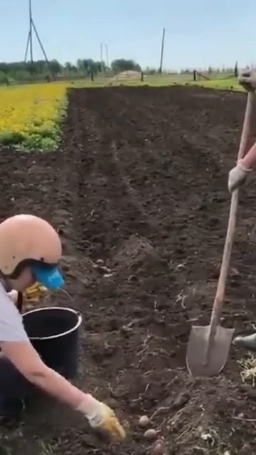 техноложи смотреть онлайн