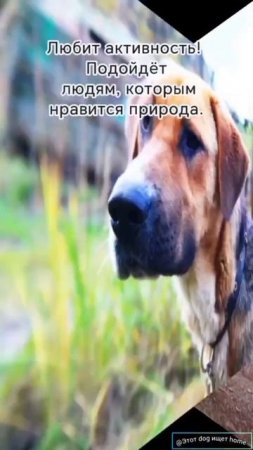 Я хочу дарить любовь