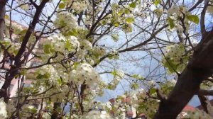 Турция 2025. Ужасная погода в апреле.