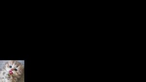 ICARUS
