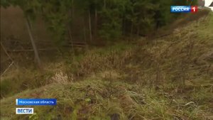 Россия 1 Платная дорога СНП Лира-С