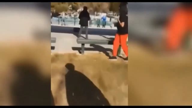 Коп стреляет в школьника с ножом 18+ США 2016 смотреть онлайн