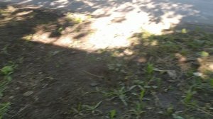 VID_20250523_075000.mp4 Иду в садик