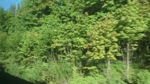 Вид из окна Скоростного поезда Москва Брянск ( часть 13