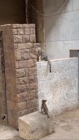 Отличник🤣