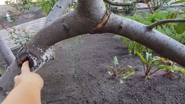 МАЛЕНЬКИЙ СЕКРЕТ.. смотреть онлайн