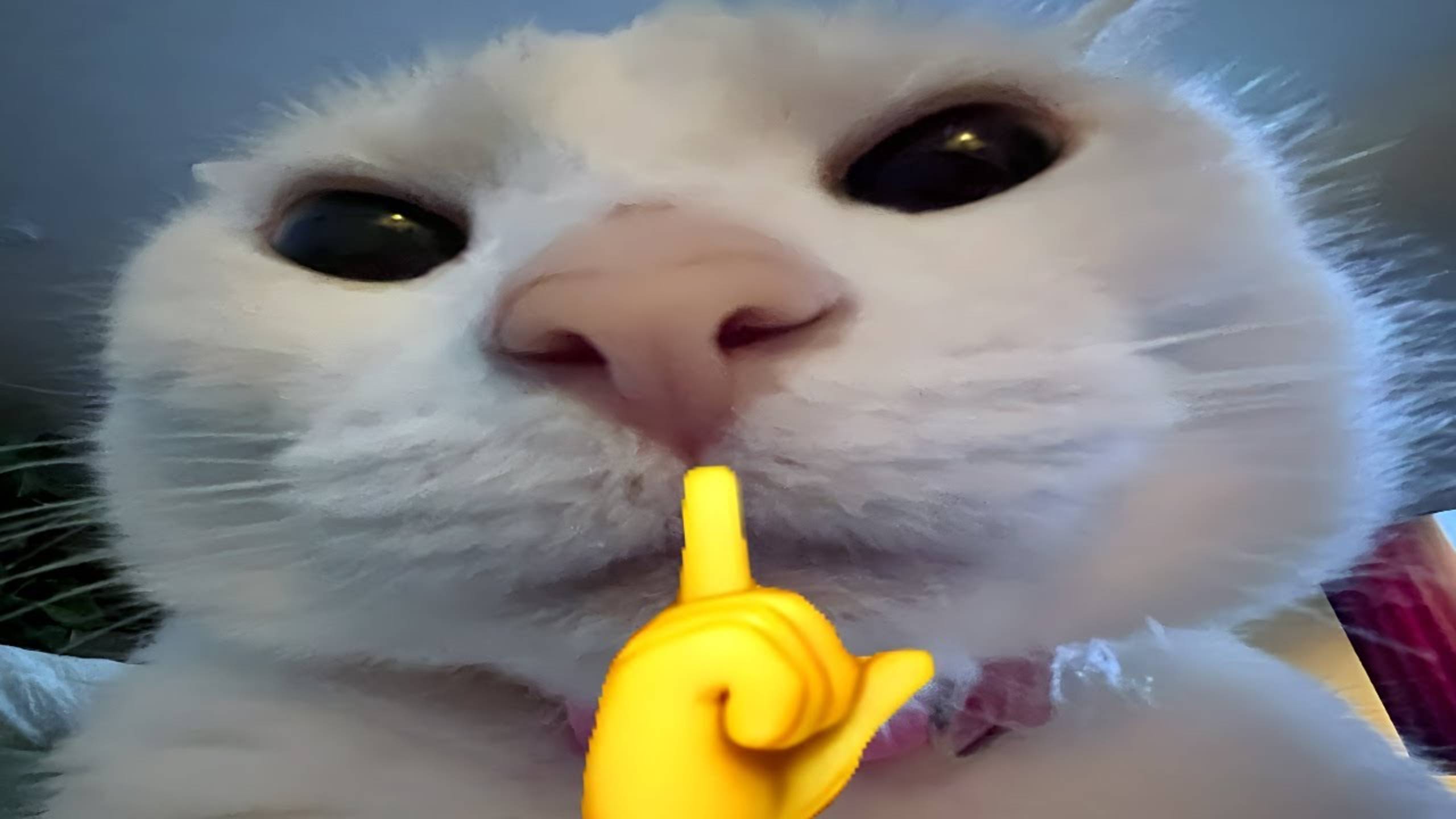 СМЕШНЫЕ КОТЫ 2025 ЛУЧШИЕ ПРИКОЛЫ С КОТАМИ, КОШКИ, КОТИКИ, СОБАЧКИ, СМЕШНОЕ ВИДЕО