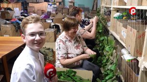 НеСКУФная передача. Паучки