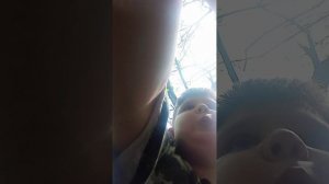 Челлендж 24 часа на дереве