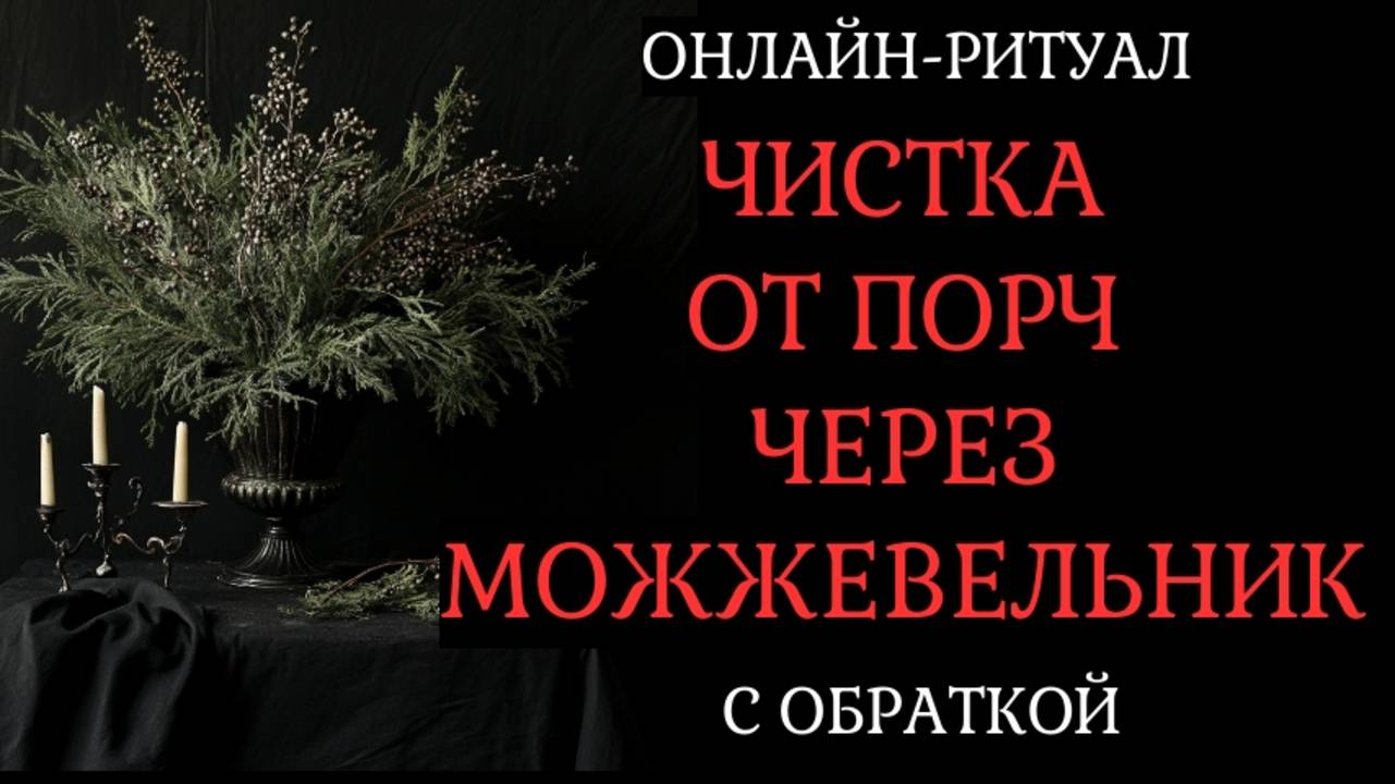 ЧИСТКА ЧЕРЕЗ МОЖЖЕВЕЛЬНИК (ОТ ПОРЧ, НЕГАТИВА). ОНЛАЙН-РИТУАЛ С ОБРАТКОЙ