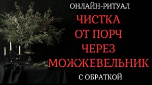 ЧИСТКА ЧЕРЕЗ МОЖЖЕВЕЛЬНИК (ОТ ПОРЧ, НЕГАТИВА). ОНЛАЙН-РИТУАЛ С ОБРАТКОЙ