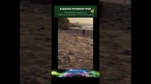 факт (12)
