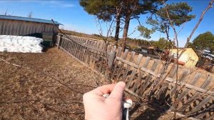 Вдвоём в глухой таёжной деревне, сезон бездорожья.